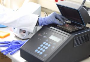ARMS PCR