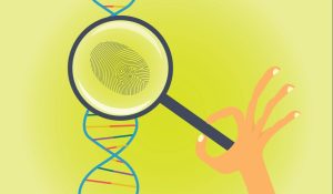  DNA-Fingerprinting