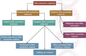 انواع روش های استخراج DNA